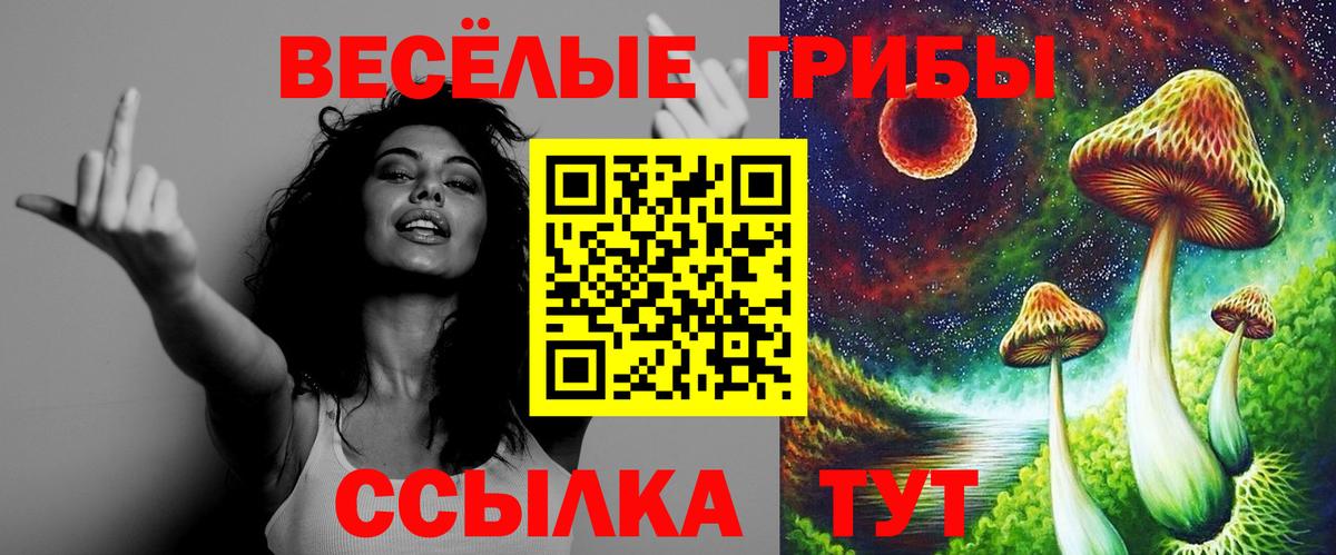 Галлюциногенные грибы прущие грибы Алейск